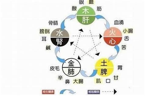 五行補水|五行缺水如何補救，很多人並不知道補水還有這些方法。